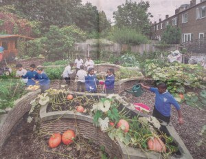 ???????????????????????????